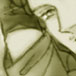 6TOPG