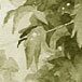 valacirca